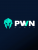PWN Games Network